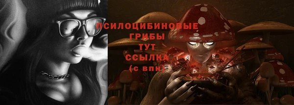 амф Медногорск