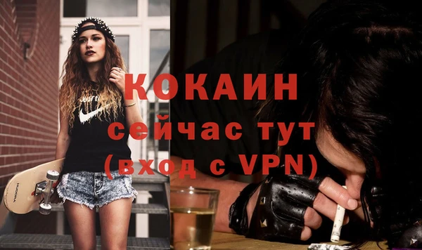 твердый Мегион