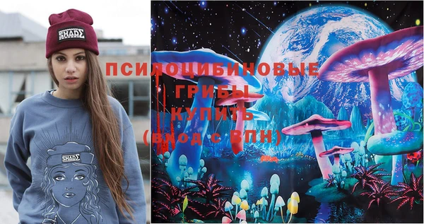дурь Медвежьегорск
