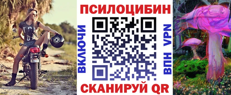 сколько стоит  Шилка  Галлюциногенные грибы MAGIC MUSHROOMS 